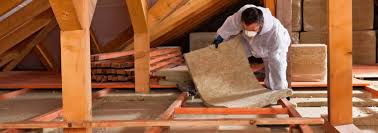 Best Eco-Friendly or Green Insulation Solutions  in Cartervle, IL